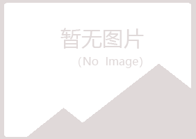 白山字迹建设有限公司